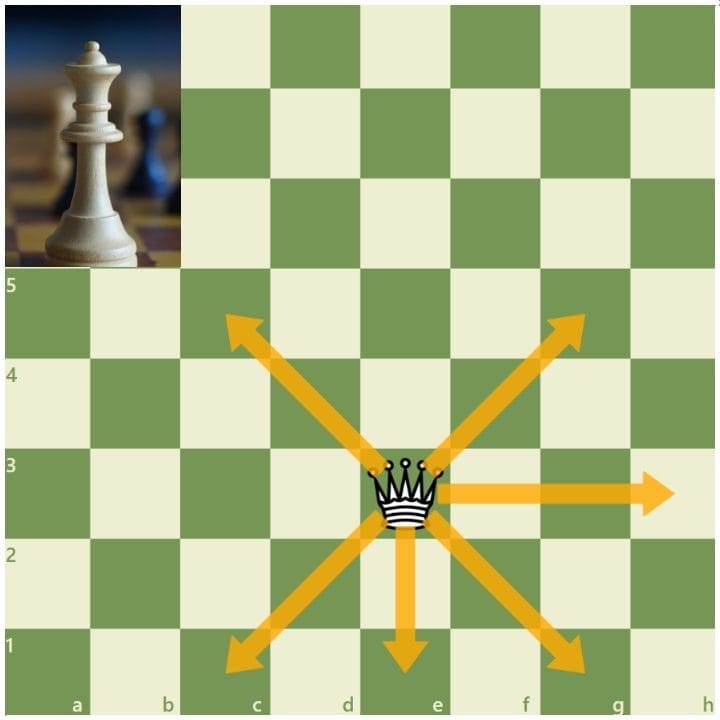 Pravidla šachu / Jak hrát šachy
