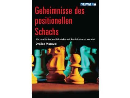 7816 Geheimnisse des positionellen Schachs Big