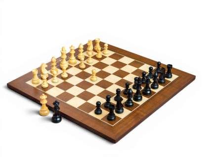 3839 delux eben sachova suprava judit polgar