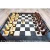 4879 8 4879 8 sachova suprava briar supreme