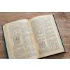5029 3 a alechin medzinarodne sachove turnaje 1924 1927