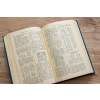 5029 4 a alechin medzinarodne sachove turnaje 1924 1927