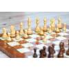 5347 6 5347 6 sachova suprava golden palisander briar