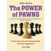 6690 the power of pawns