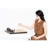 7167 9 7167 9 drevene sachy chess club