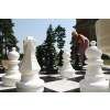 7897 2 7897 2 chess pieces and board 1